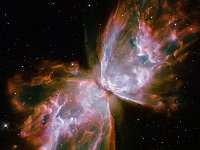 Butterfly Nebula